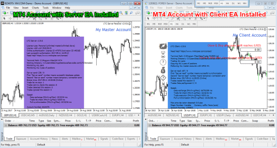 MT4 Master Account and MT4 Slave Account
