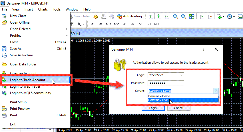 Login to Trade Account in Metatrader 4