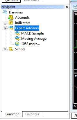 Navigator window in Metatrader 4