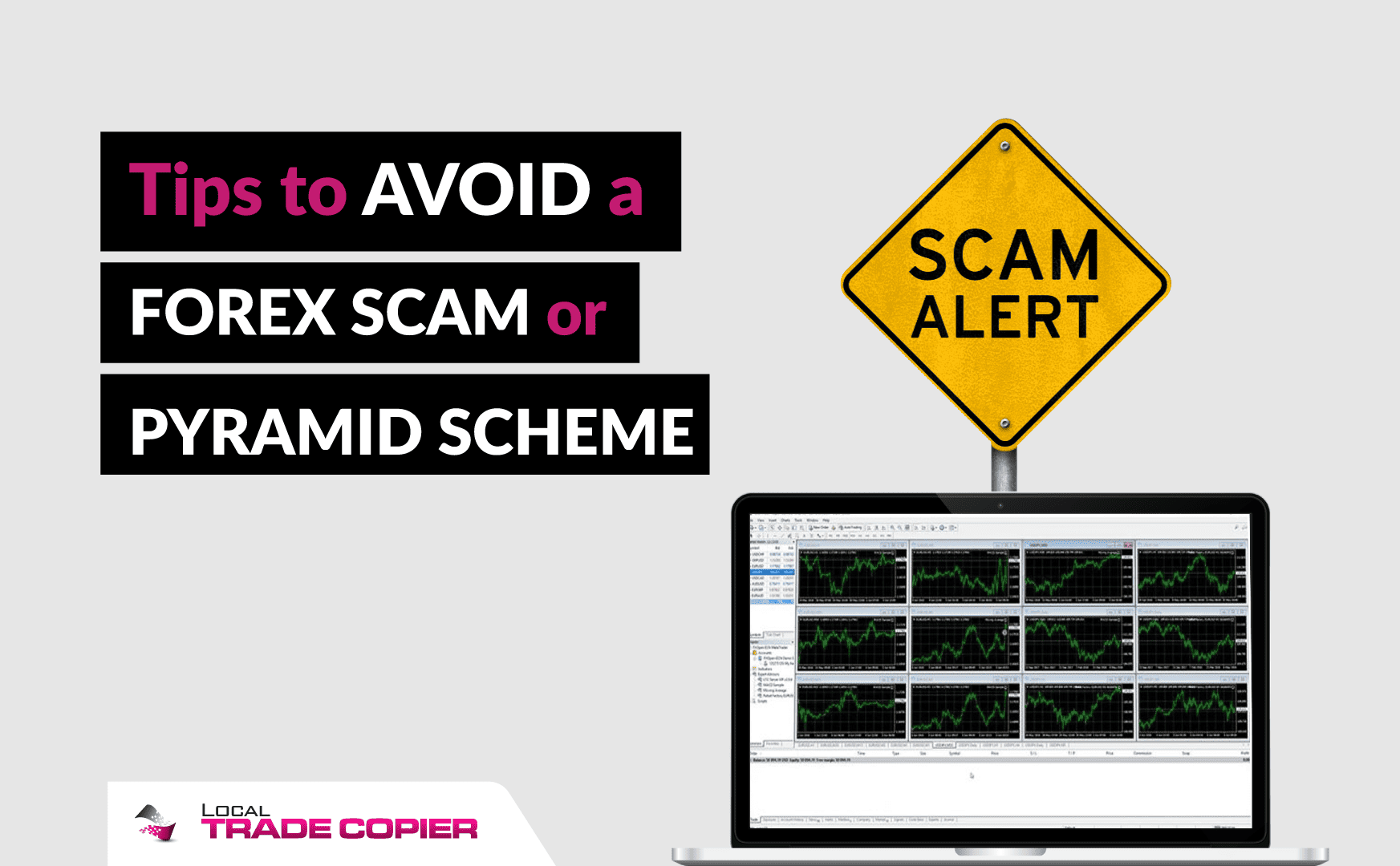 Tips to avoid a forex scam or pyramid scheme